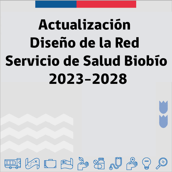 Actualización Plan Estrátegico de la red Bio Bío 2023-2027