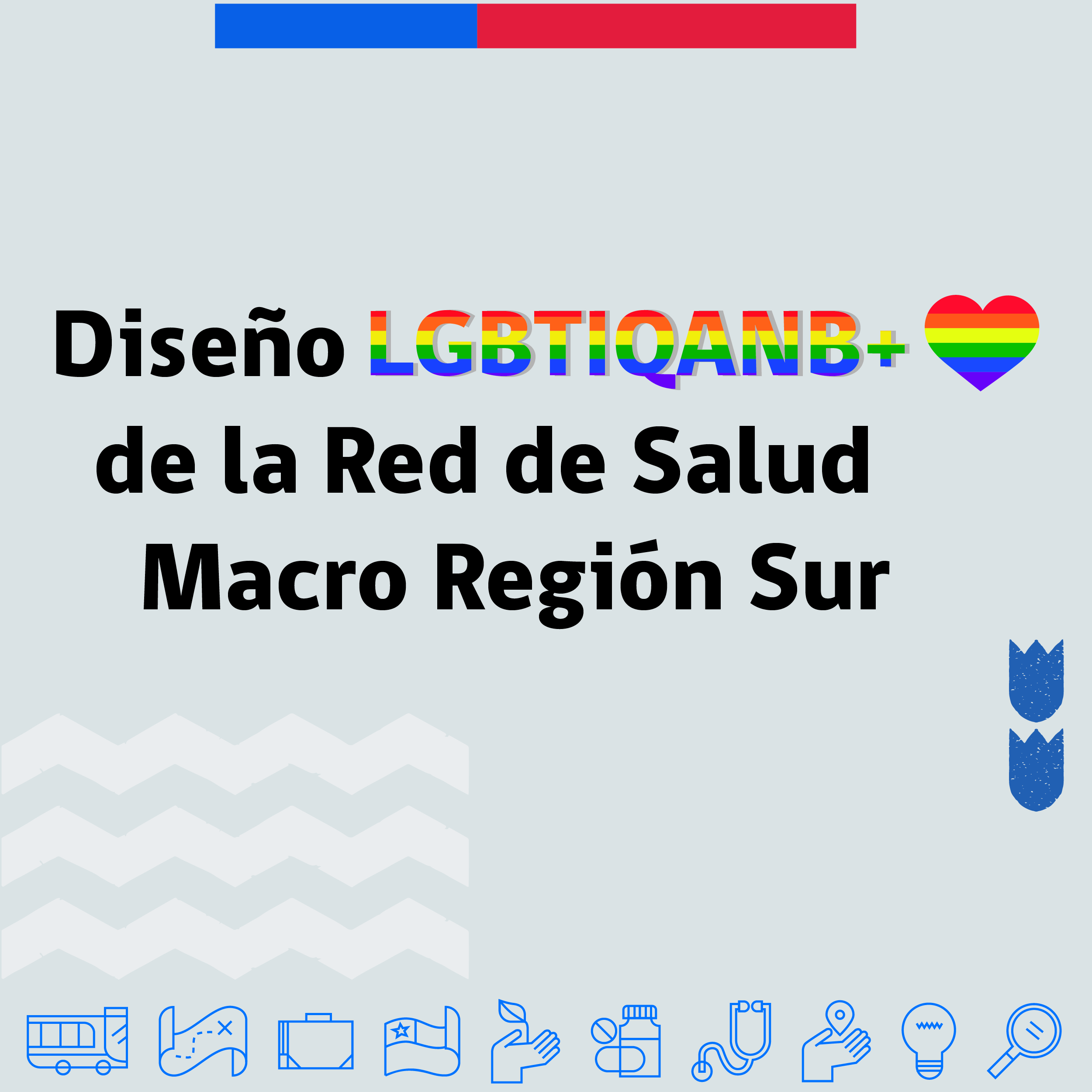 DISEÑO LGBTIQANB+ DE LA RED DE SALUD MACROREGIÓN SUR